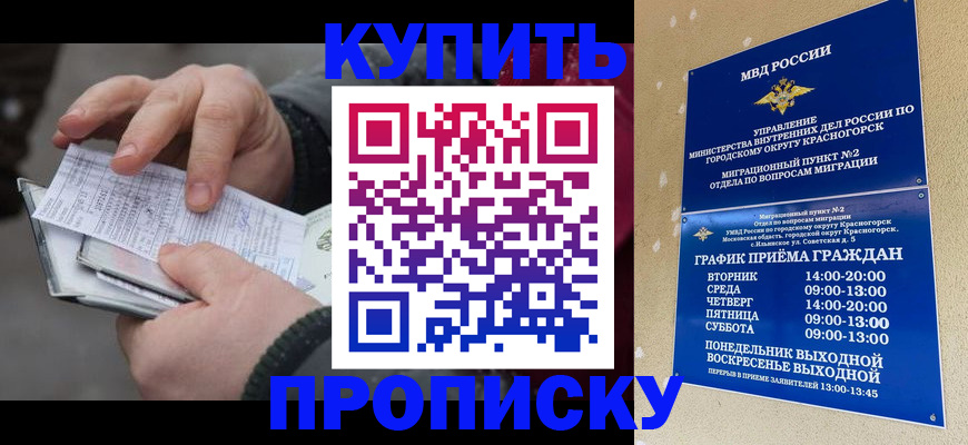 временная регистрация недорого в Королёве